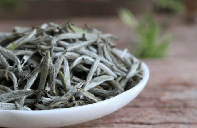 物质|白茶存放多年，会发生什么样的变化？