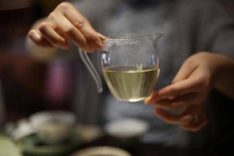 物质|白茶存放多年，会发生什么样的变化？