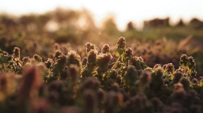 家电产业搞“以销定产”,不能只有工厂很积极但零售商懈怠-家电圈官网