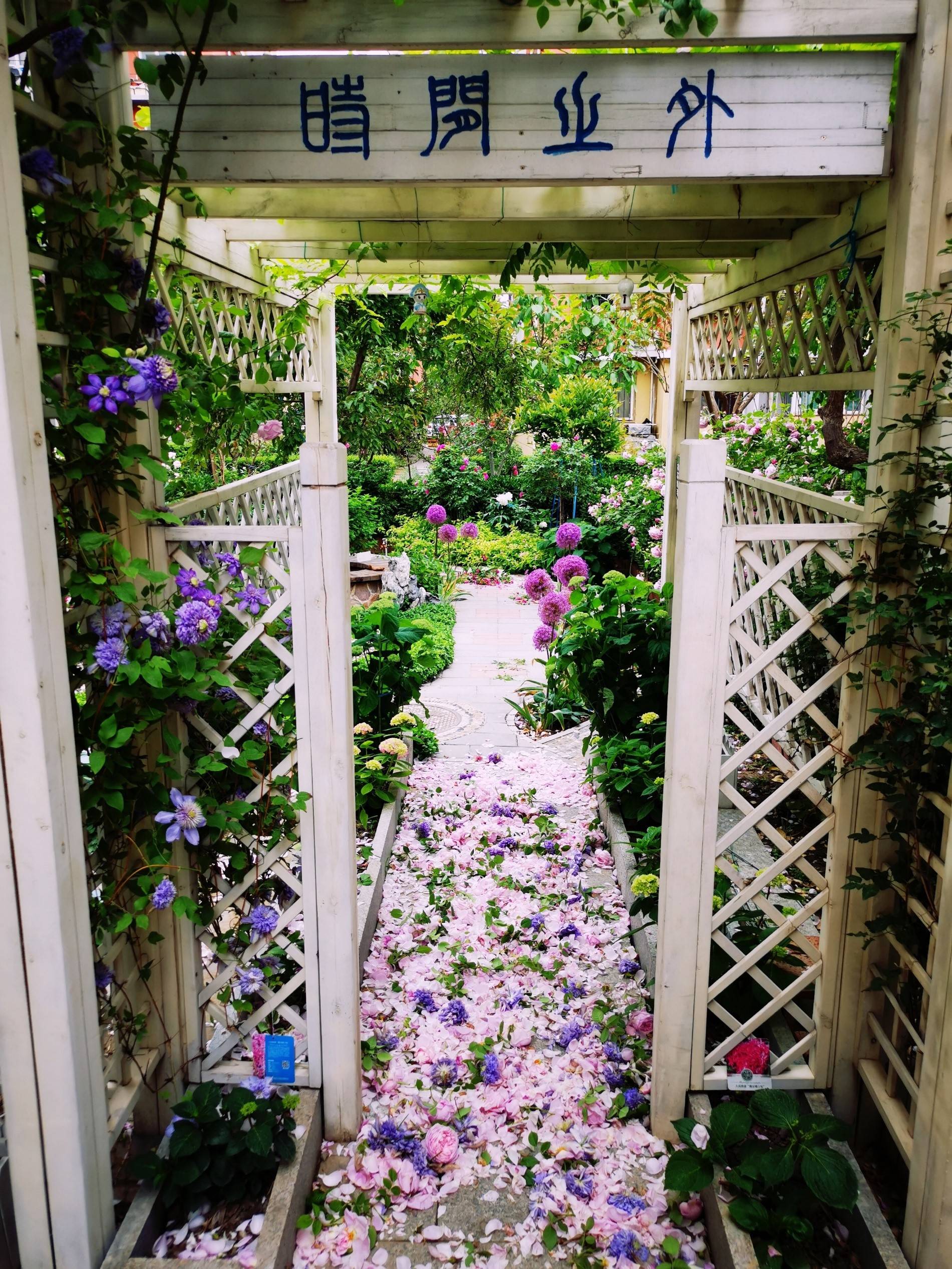 他送给妻子一座花园:20万改造公共荒地,五年后捐献给小区