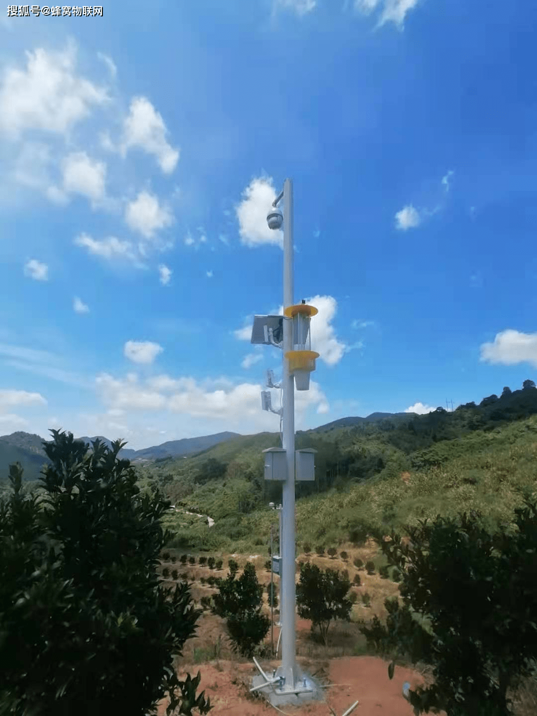 蜂窝物联物联网杀虫灯