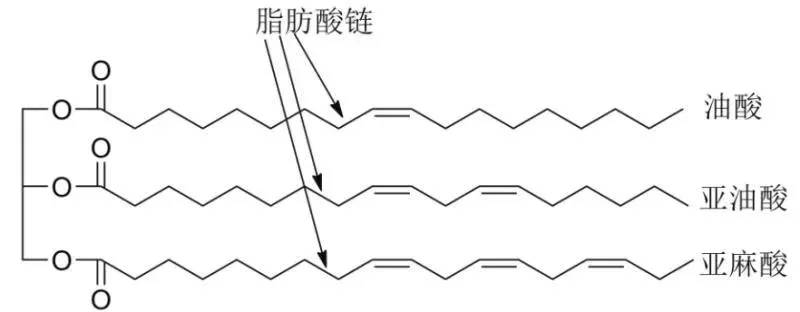 蓖麻醇酸酯图片