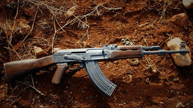 格鲁吉亚步枪图片