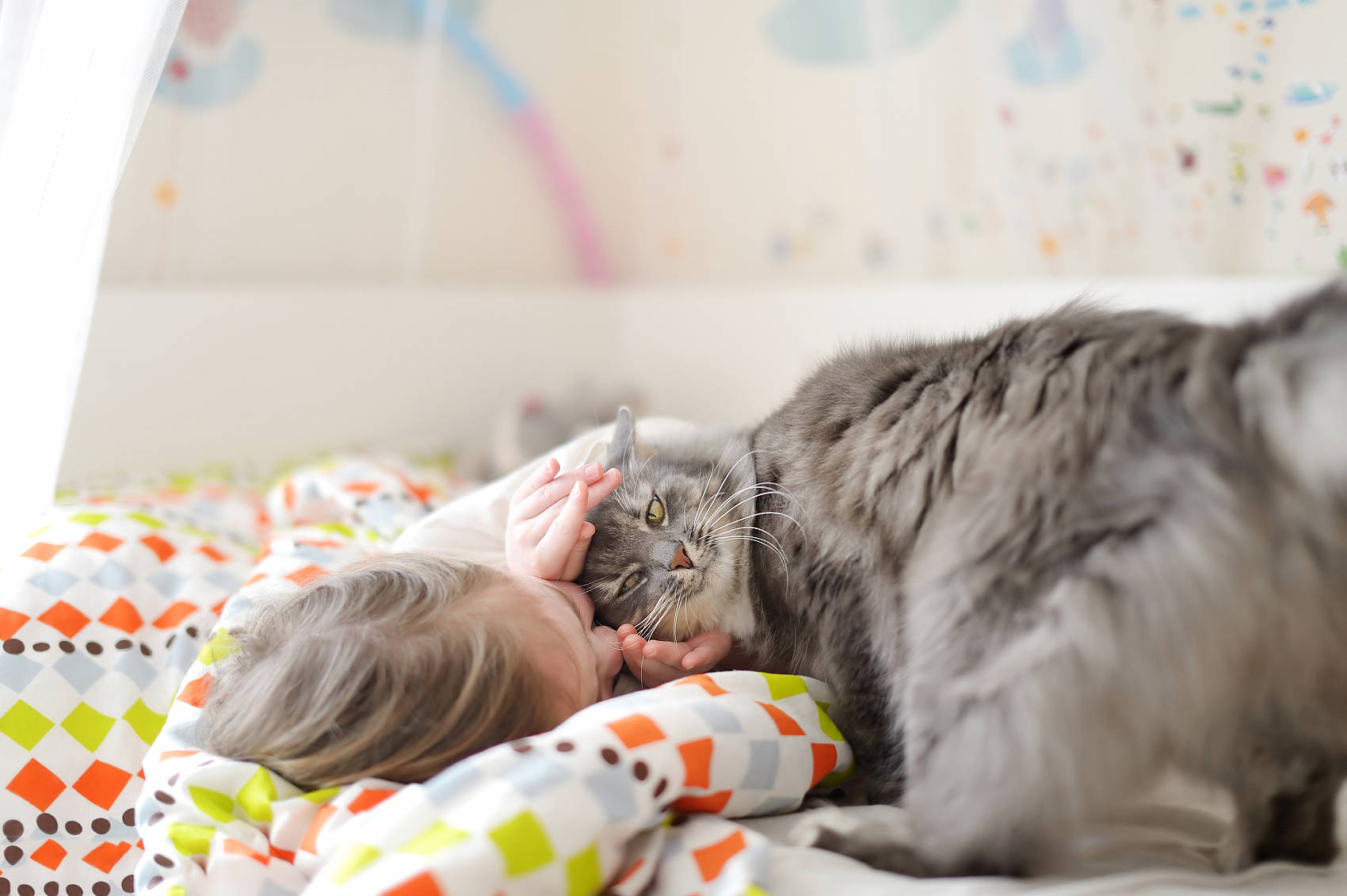 踩奶(做饼干)语言