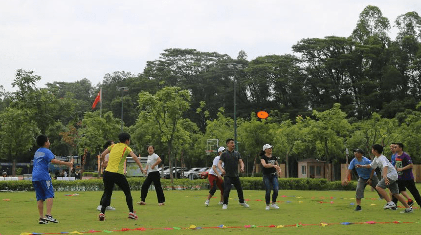 拓展團建項目——飛盤運動_比賽