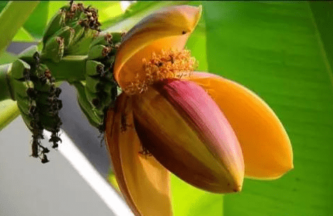 明天8月13日 财神加持 运势超棒的4星座 心想事成 桃花朵朵 财运旺盛 微头条