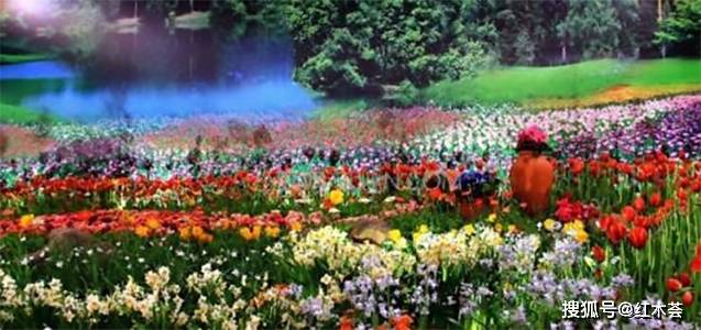 各花入各眼 紫檀黄花梨大众选美会是什么目的 家具