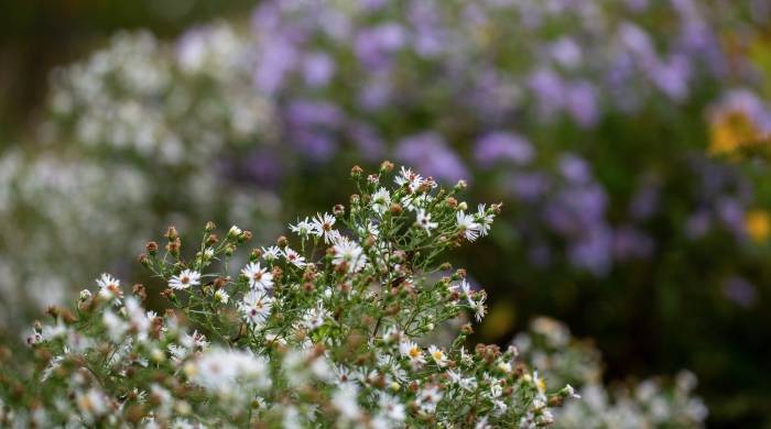 仓储会员店火了，家电零售能否搭上这趟顺风车？-家电圈官网
