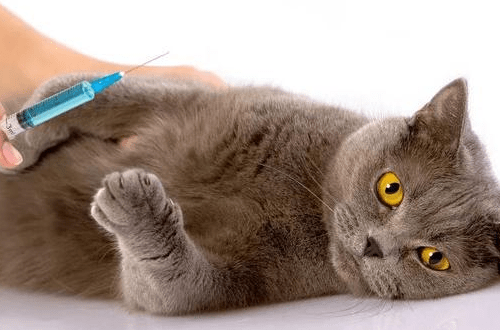 d8b615e4df174000a2ae822ab9e59baf.png