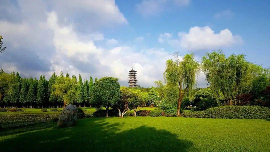 宜兴|龙背山森林公园