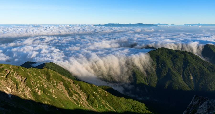 家电市场出现分歧：京东苏宁国美燃战火，方太小米推新品！-家电圈官网