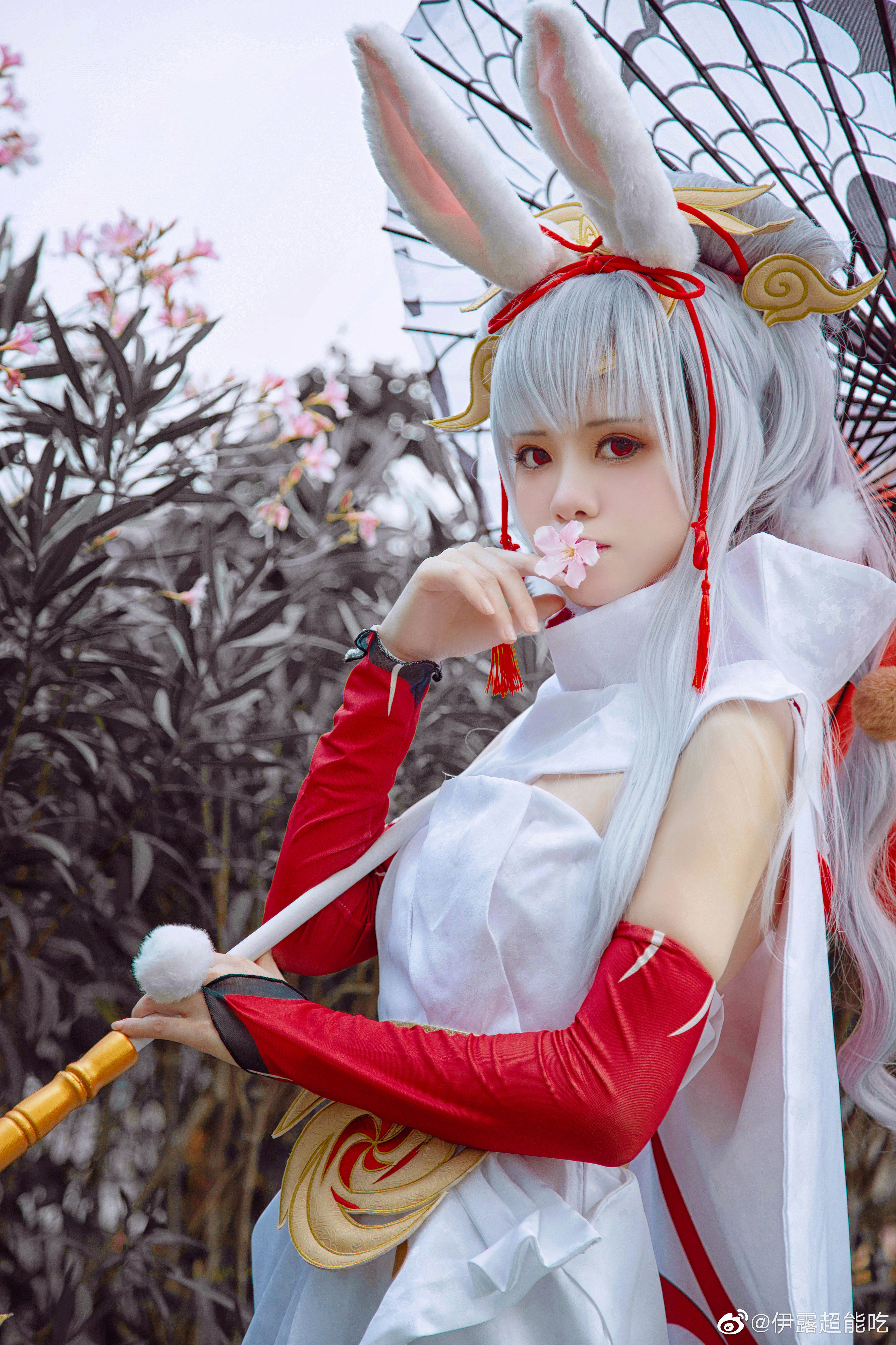 王者公孙离真人cosplay图片