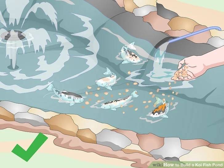 怎样新建一个鱼池池塘专用衬垫