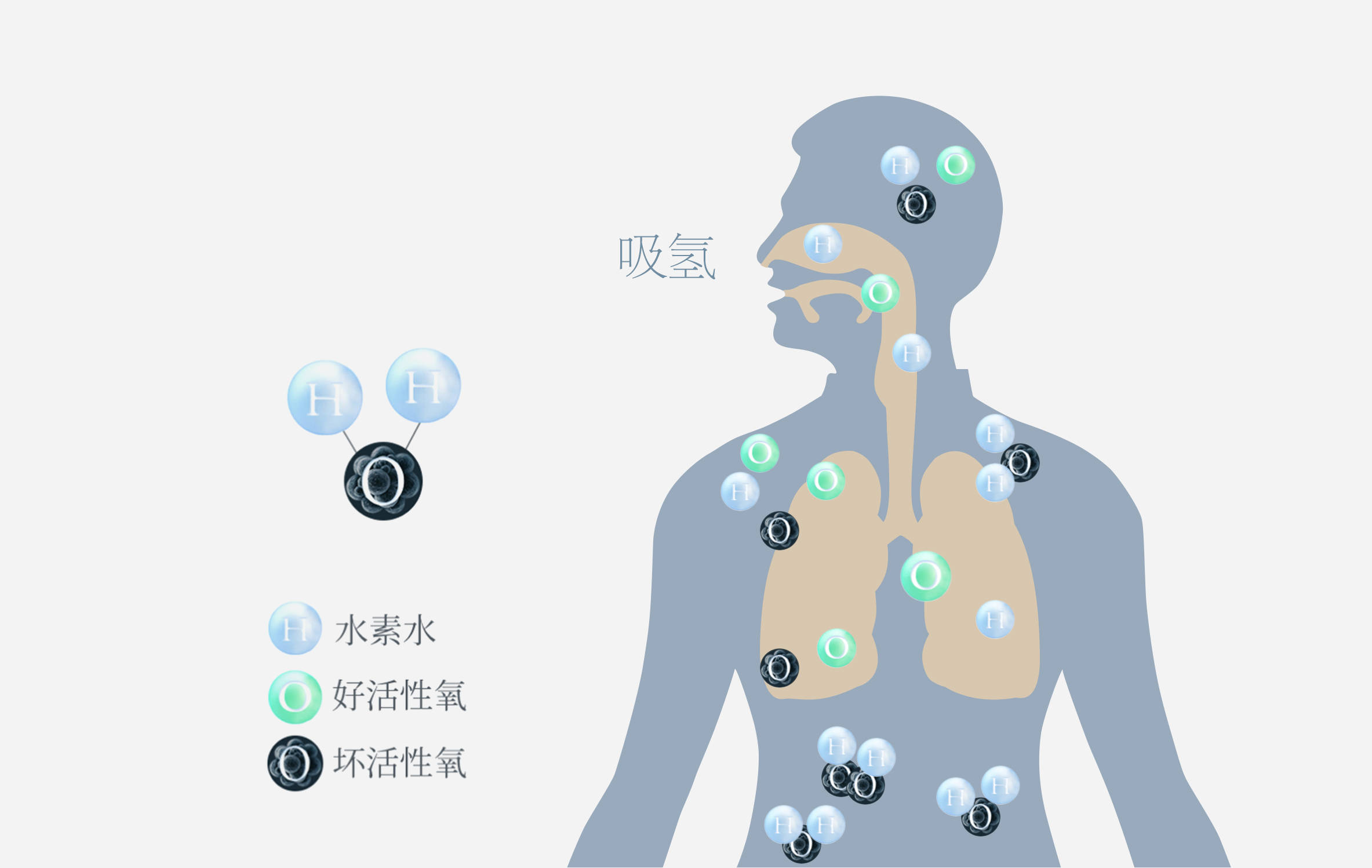 临床氢气吸入对65岁老年人心血管健康的促进作用
