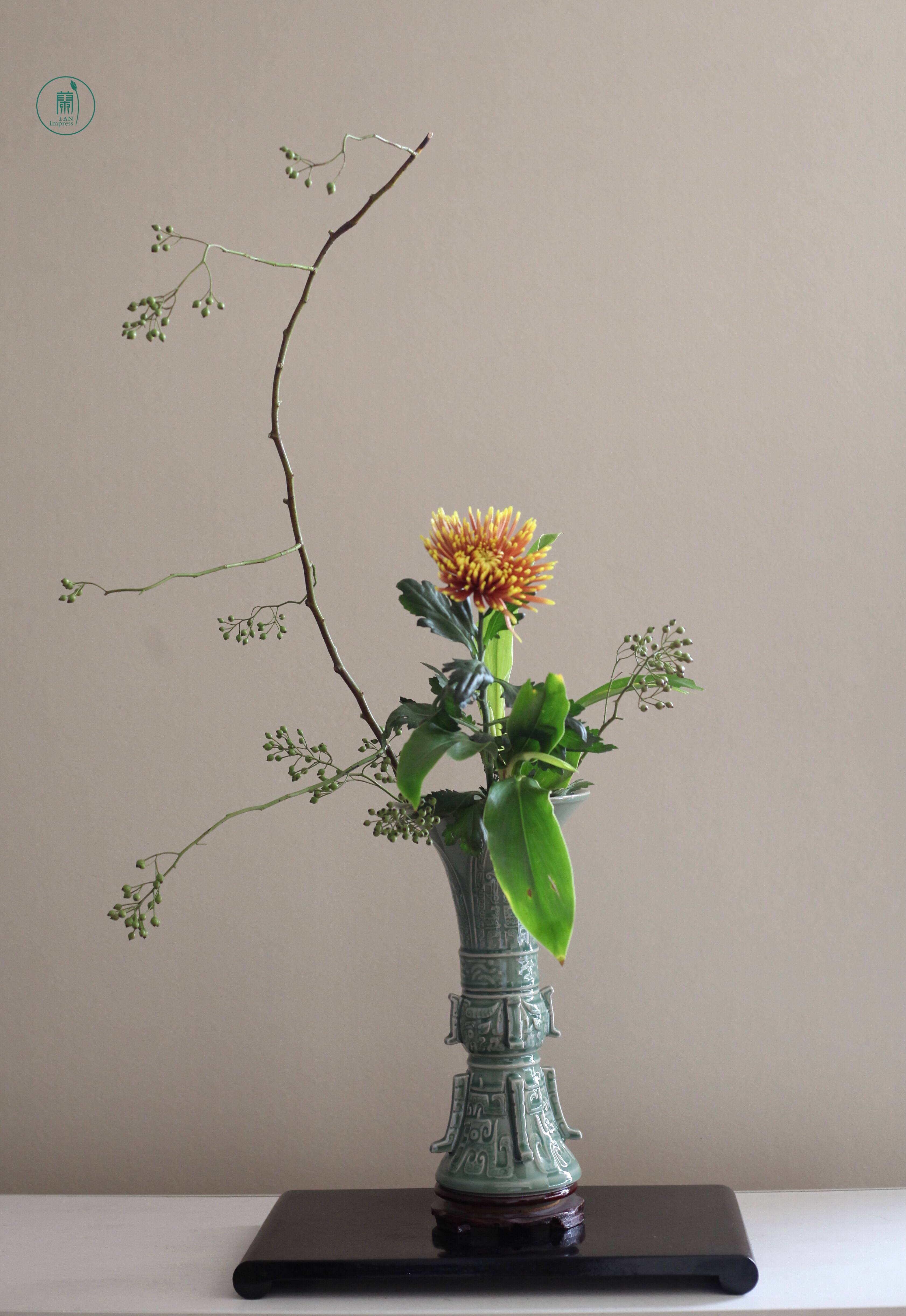 山归来花正开西安兰印象小原流花道