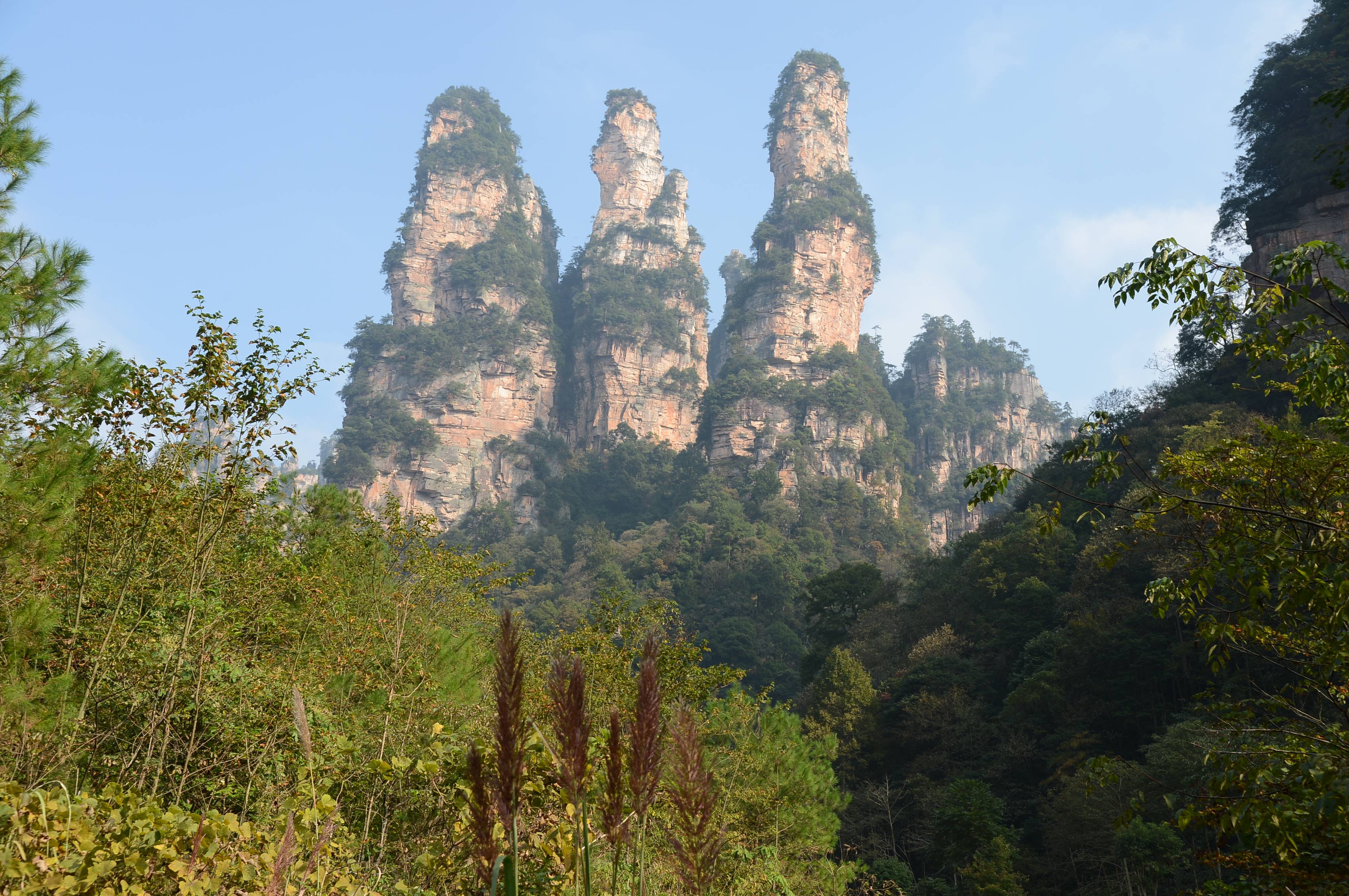 十里畫廊為張家界武陵源風景區的天然峽谷,在天子山腳下,臨近水繞四門