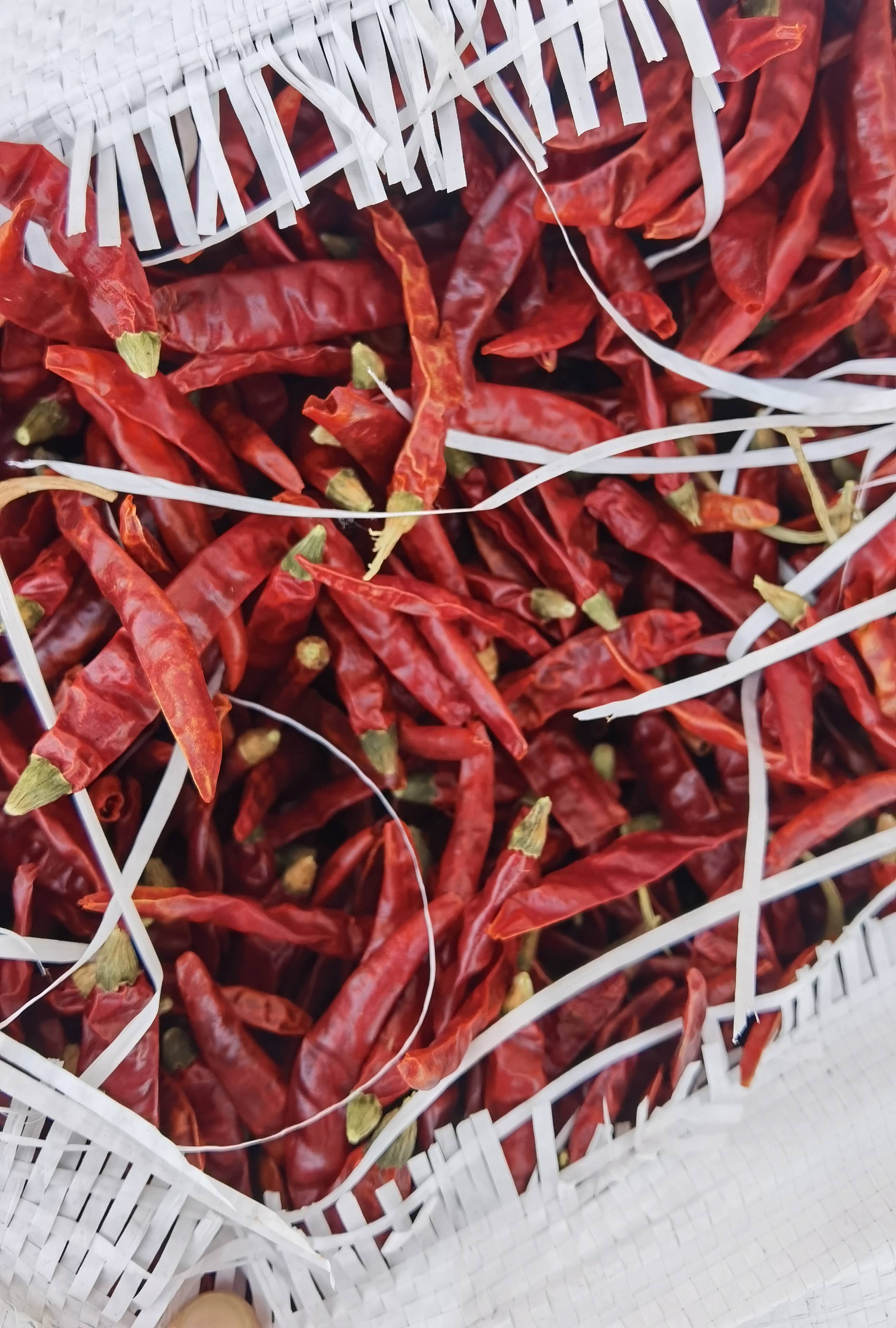 原创进口印度辣椒干如何操作?清关实录