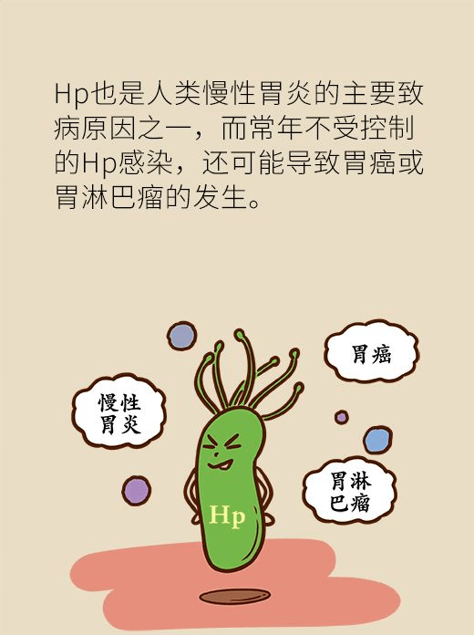 今日科普幽门螺杆菌致慢性胃炎的主凶