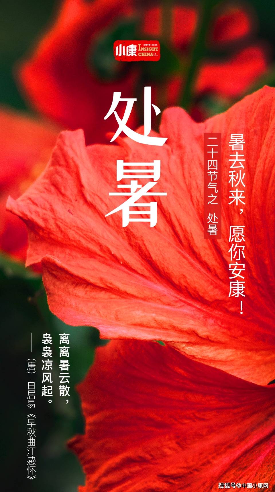 节气今日处暑你那的天气开始转凉了吗