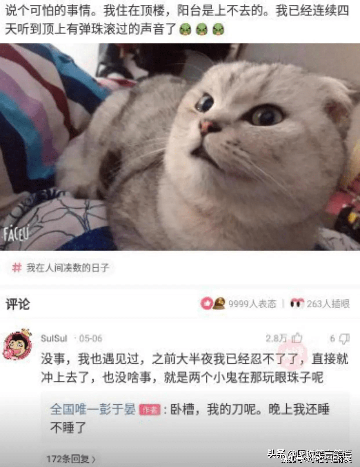 爆笑第11期：那些意想不到的大神評論. 搞笑整蠱 第5张