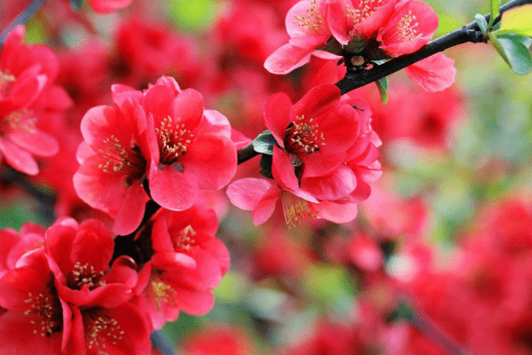 8月31日开始 财运飙升 好运连连 贵人相助 事业爱情双丰收的3大星座 双子座