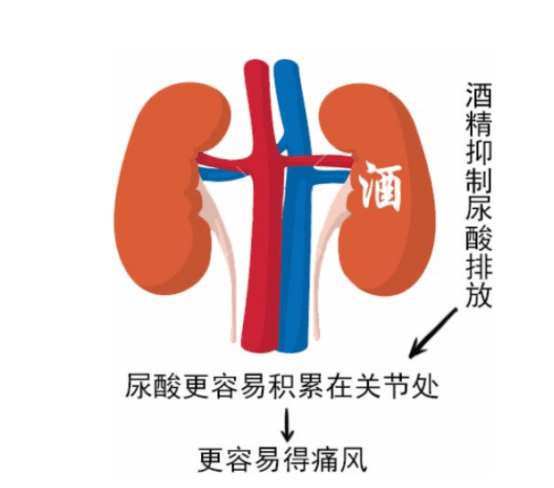 d453ff82614e418aa25db9ed7762fc60.png