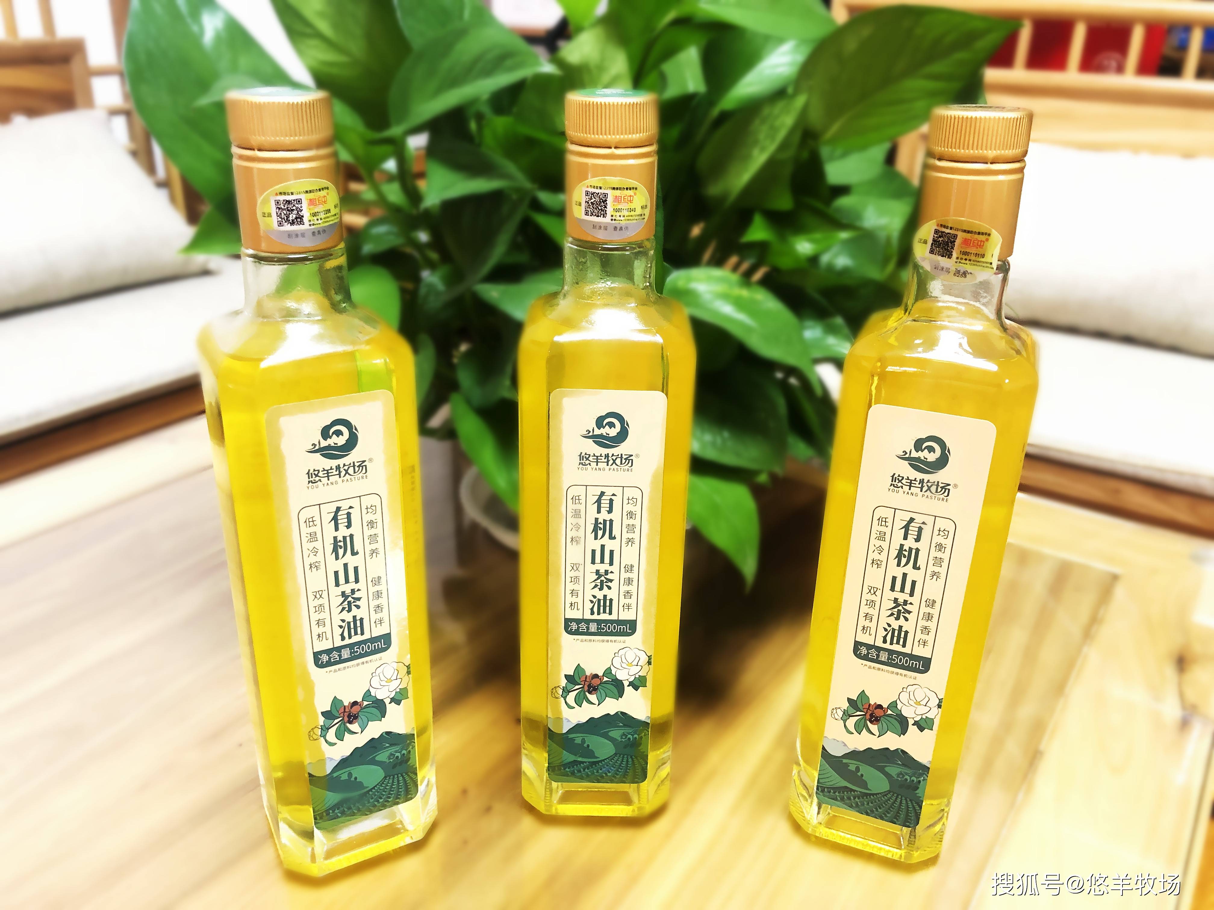 冷榨山茶油