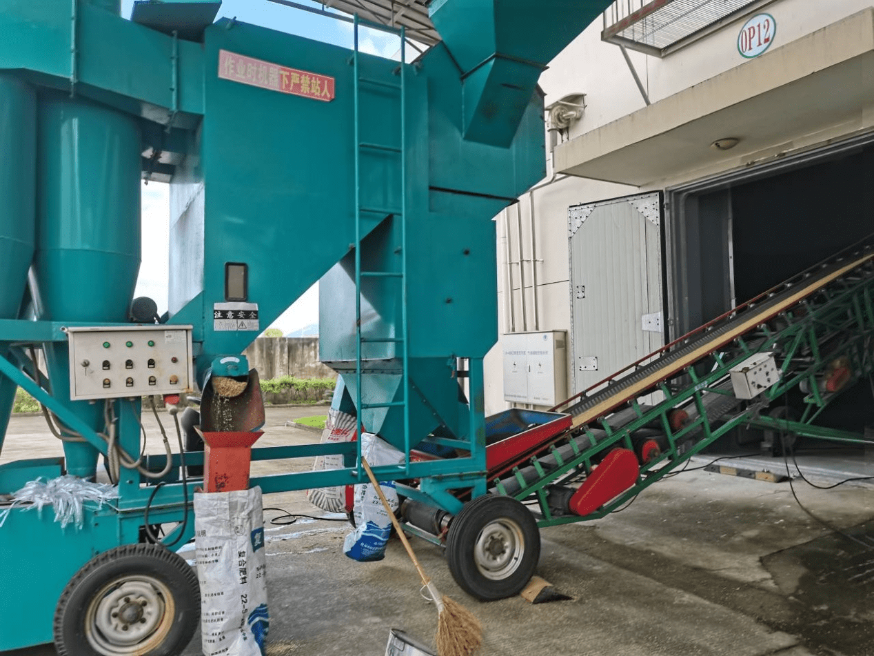 乡村振兴,粮储筑基 ——乡村振兴实践团赴路桥泉井粮库实习活动顺利