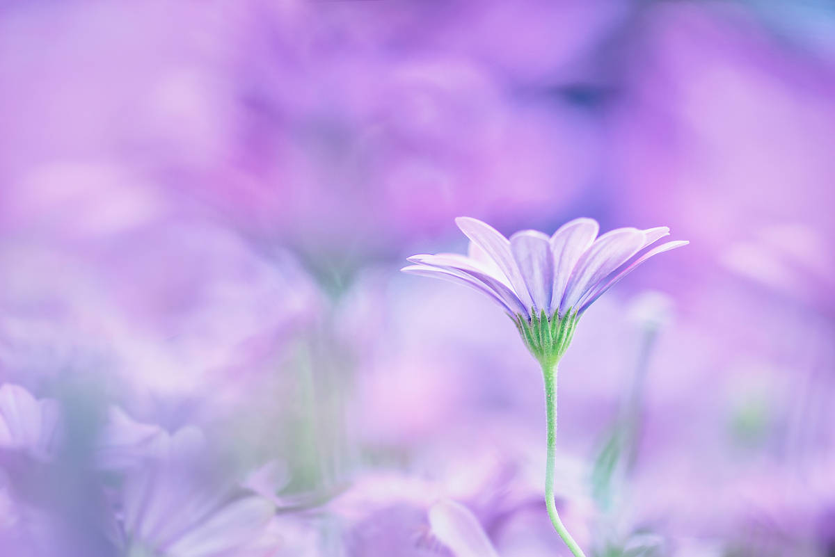 怎样让自己变得有活力 85afeeb8438842b3ae31229ab22e0bf6.jpeg