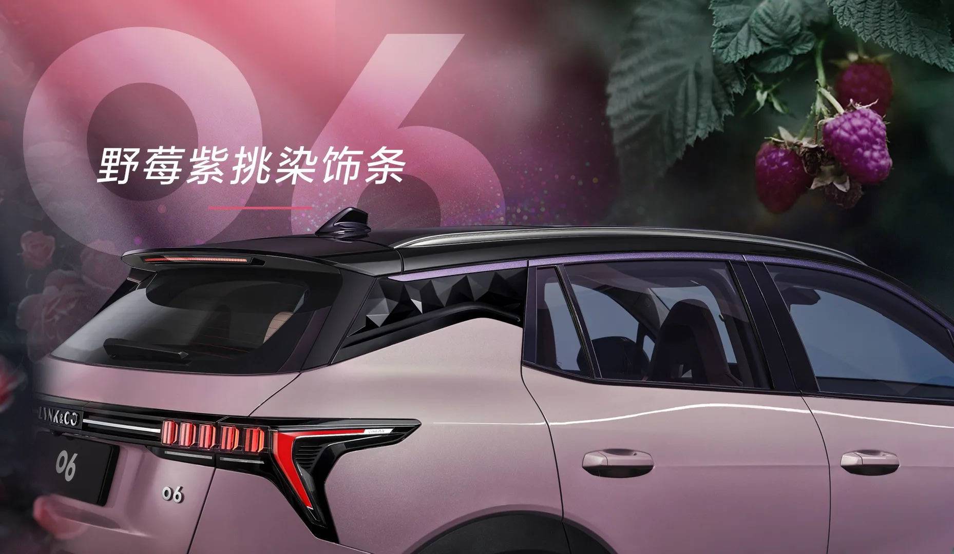 蔷薇|心嗅蔷薇 又甜又野