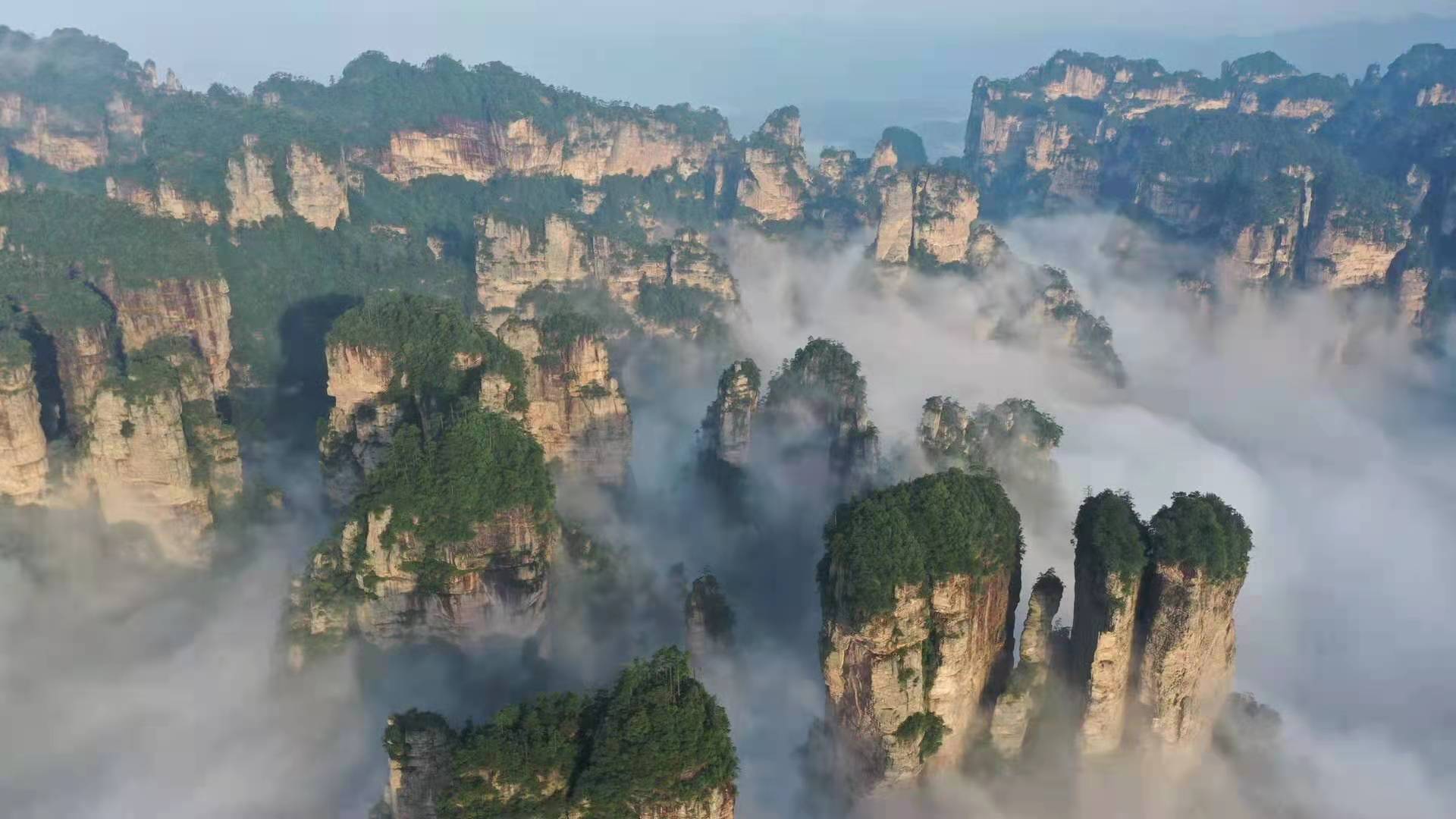 遺產張家界武陵源黃石寨,袁家界,天子山等景區連續出現壯闊雲海美景