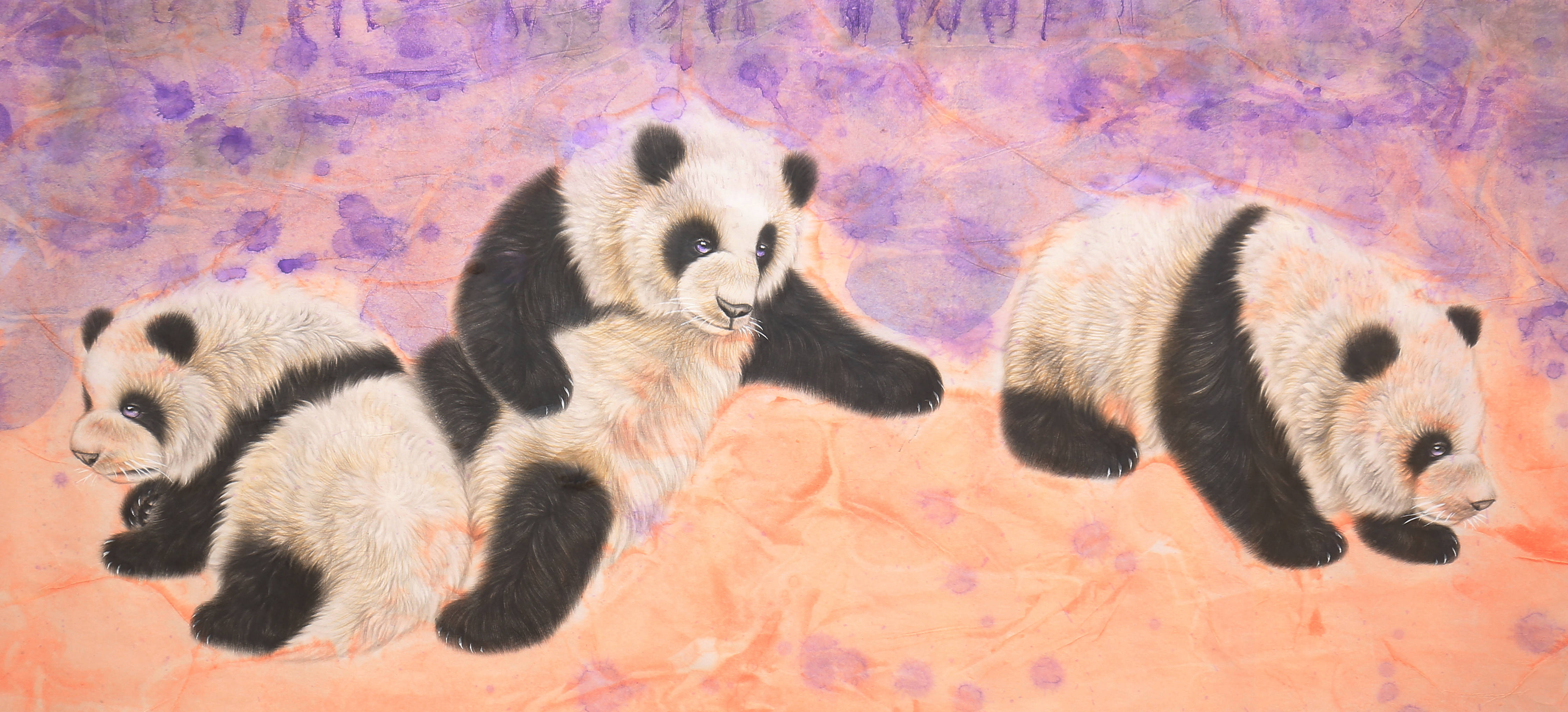 情系国宝熊猫笔画海角天涯工笔国宝熊猫画家姜彦作品欣赏