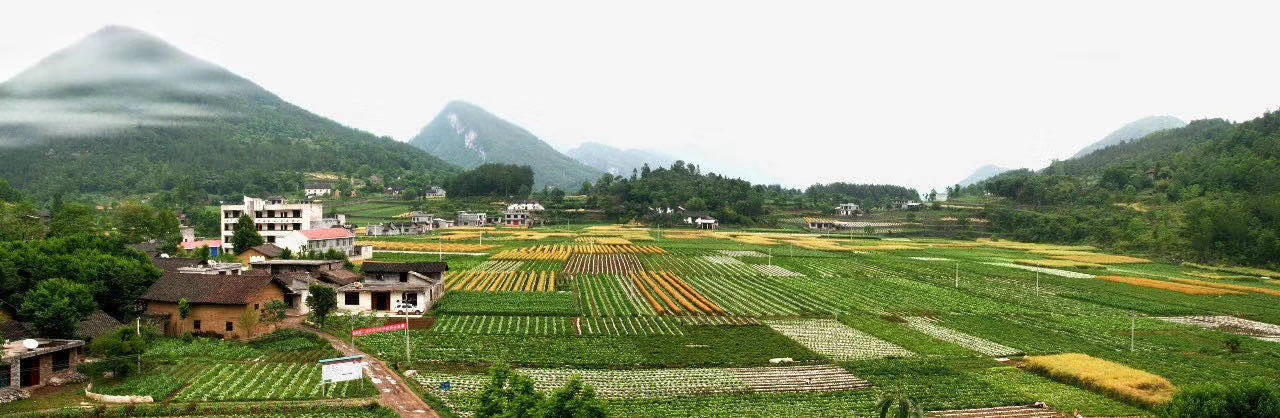 湖北恩施建始花硒谷-花硒谷康養小鎮 總價25萬起_高坪