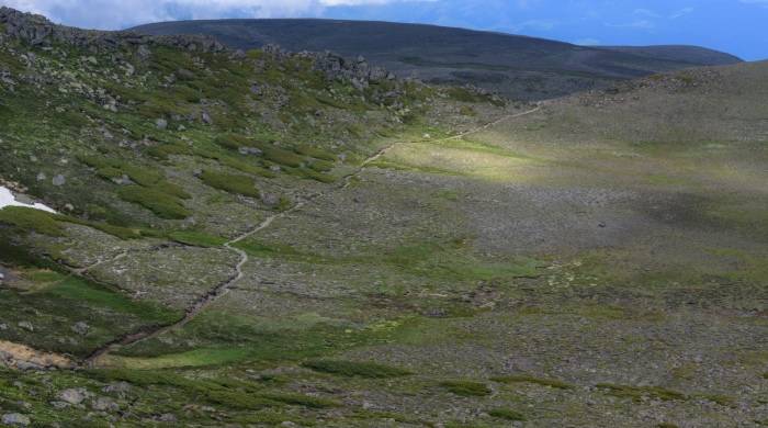 家电企业的多品牌之路，在一线市场上还有多少商机？-家电圈官网