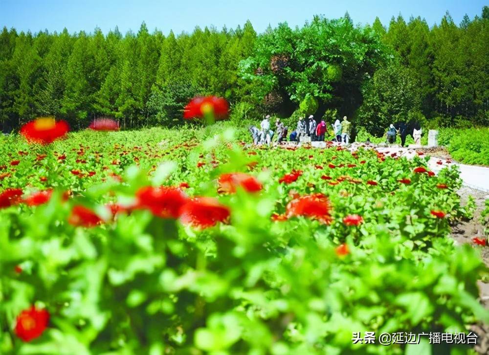 延边添新景 九三免费开放 旅游 全球资讯新闻网
