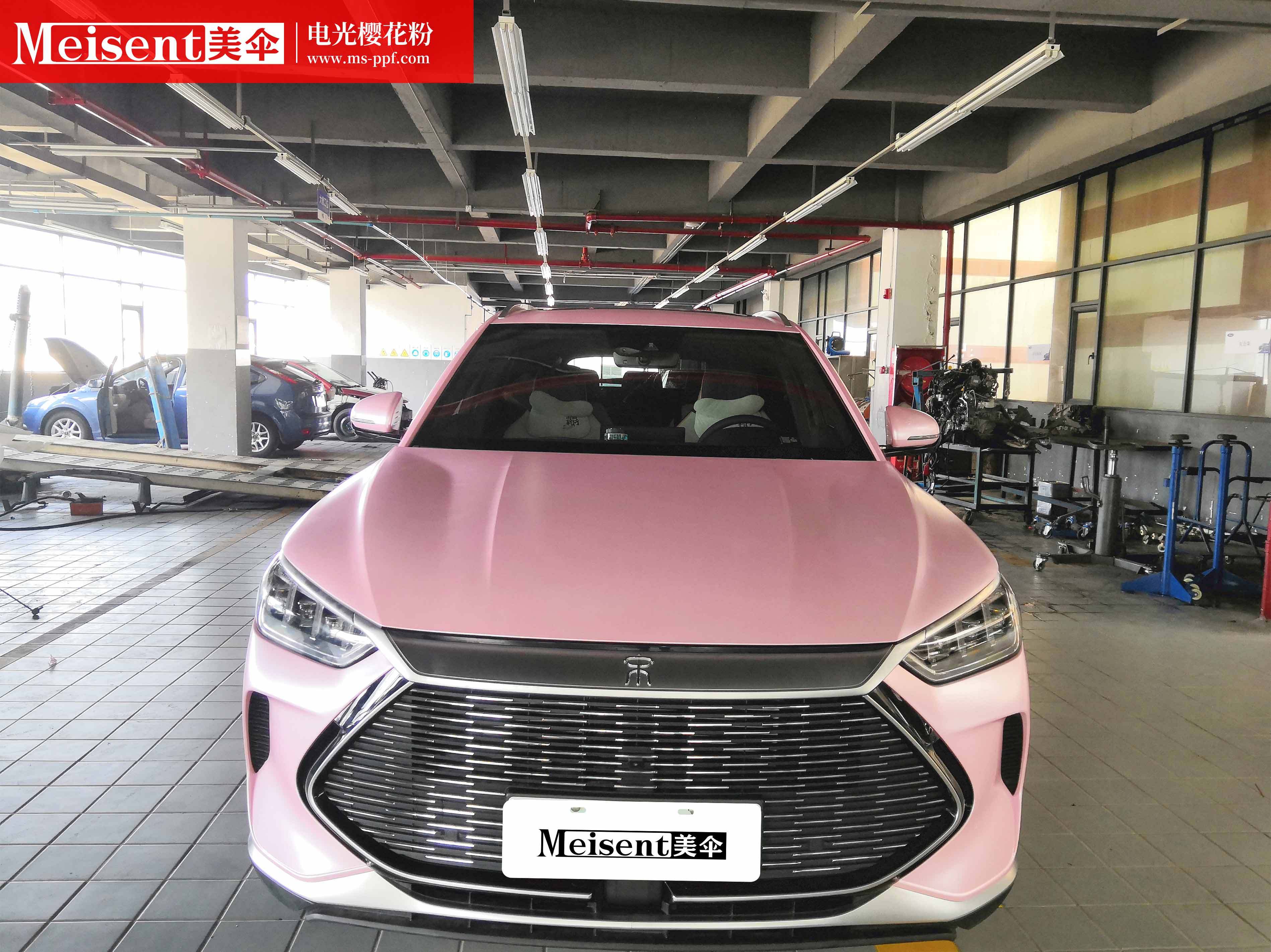 美国meisent美伞进口高端改色膜 电光樱花粉--比亚迪宋