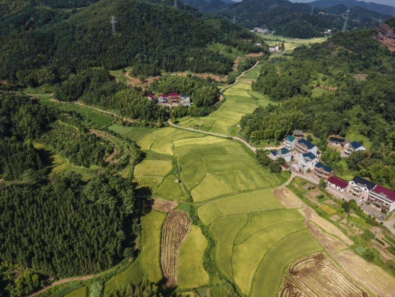 弋阳旭光乡白马山分场,在希望的田野上_工作