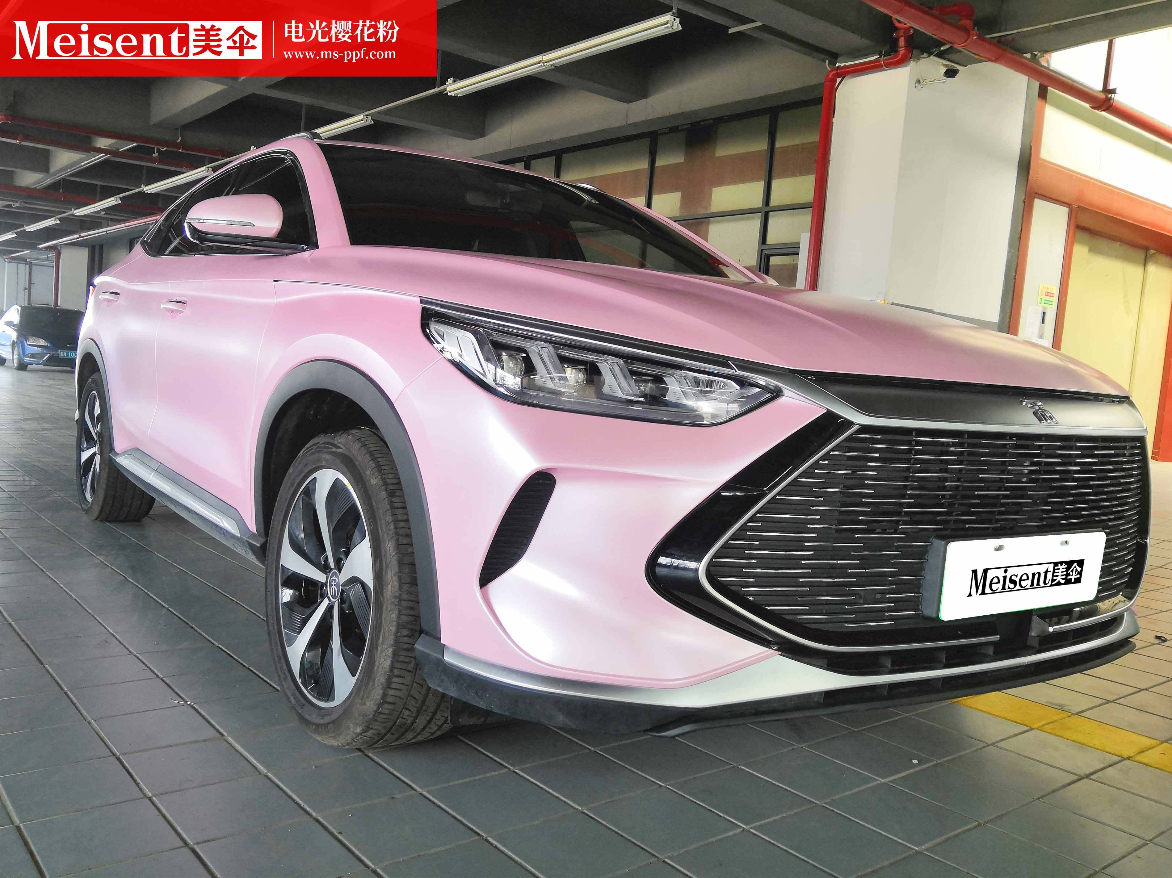 美国meisent美伞进口高端改色膜 电光樱花粉--比亚迪宋