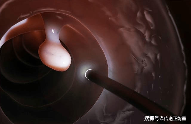 96fdddb9178d4629bada6805453ae105.png