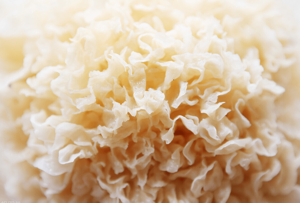 白露|明日白露，别忘了“补露”，餐桌5宝要常吃，补充营养，轻松度秋