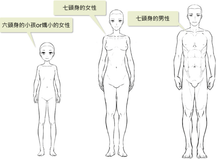 怎么画动漫人物的身体 动漫人物身体结构大概怎么画 肋骨