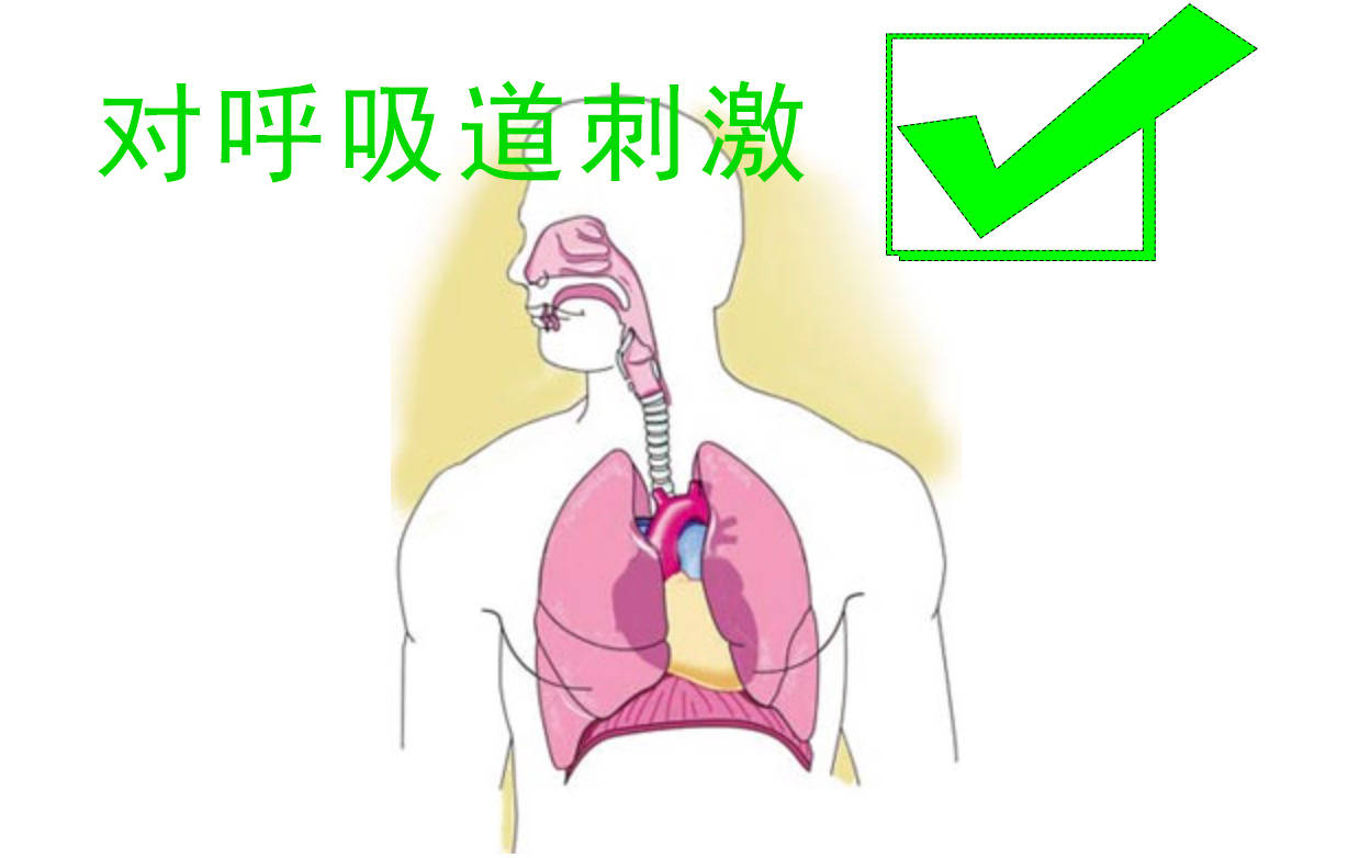 人体呼吸全过程示意图图片