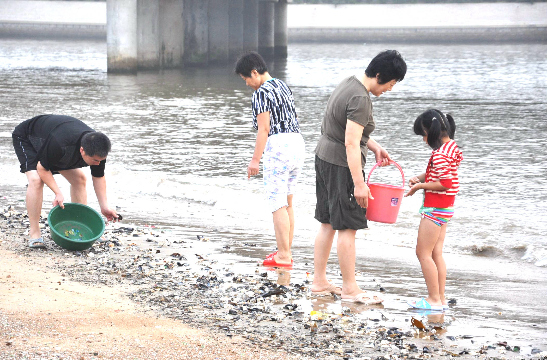 小时候|初到石岛湾，唱响生命中的海之恋歌