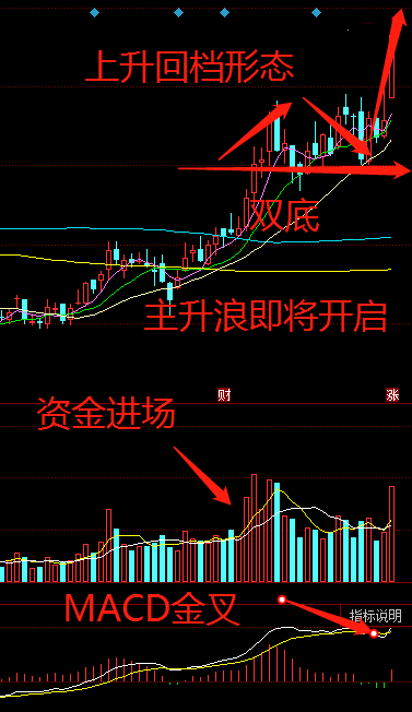 真正的龙头股有哪些 c02af56bdae8485788a2c94b3431bd82.png
