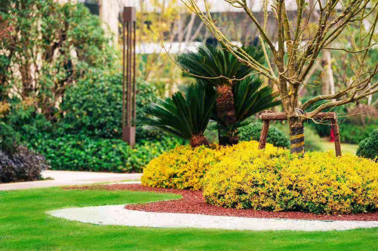 苏州姑苏金茂悦售楼处优惠折扣介绍_来电