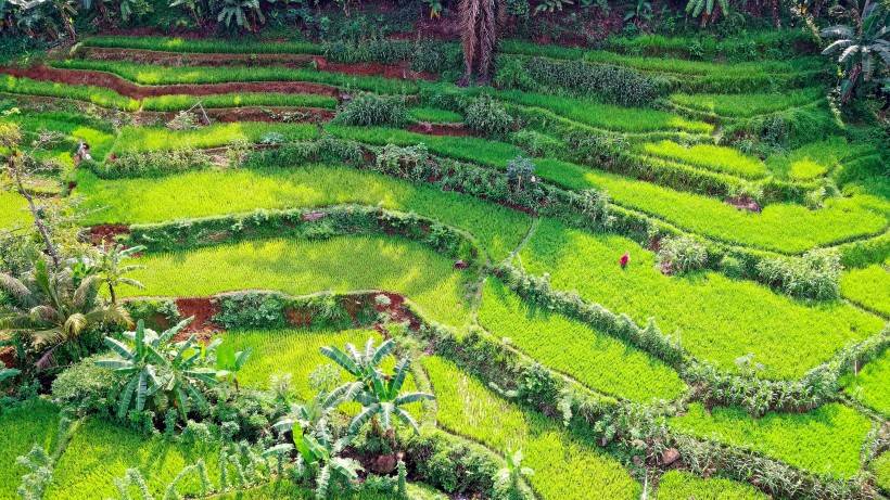 7月13日星座運勢 鎮定自若 發揮潛力的四大星座 占星網