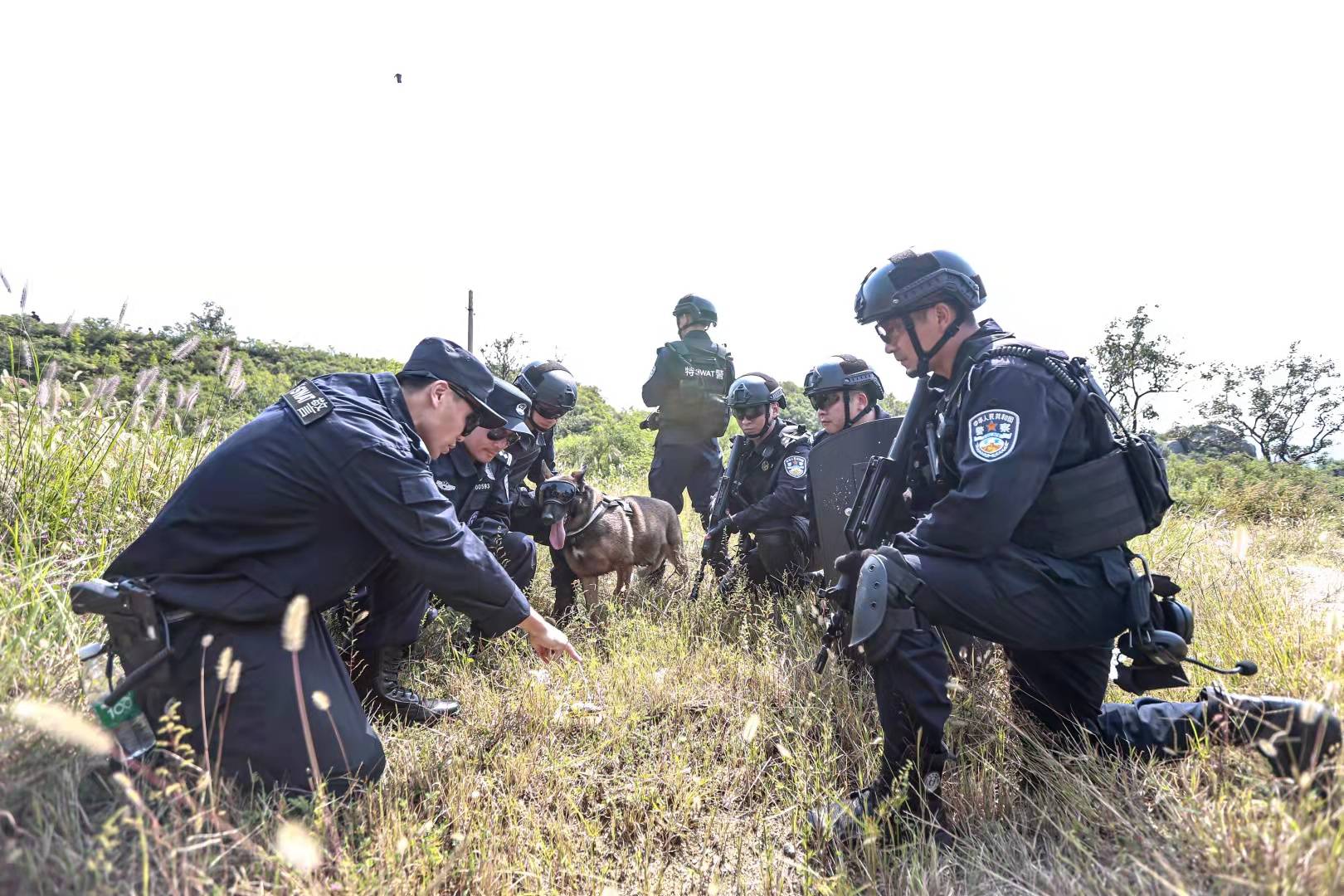 环境下的实战能力,9月8日,天津市公安局特警总队在蓟州山区山地搜索