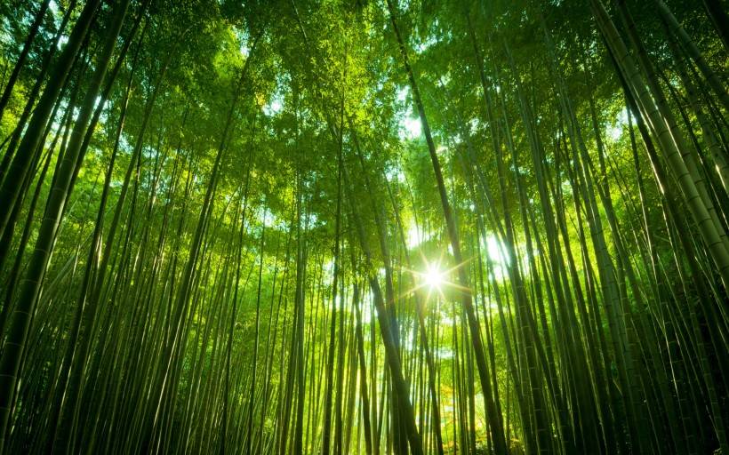 海苔|12星座在课间喜欢吃什么零食？双鱼座吃巧克力，射手座无辣不欢