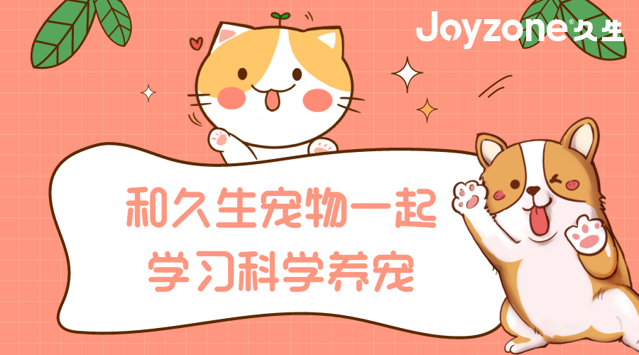 奖励|如何让狗狗学会定点厕所、握手、关门