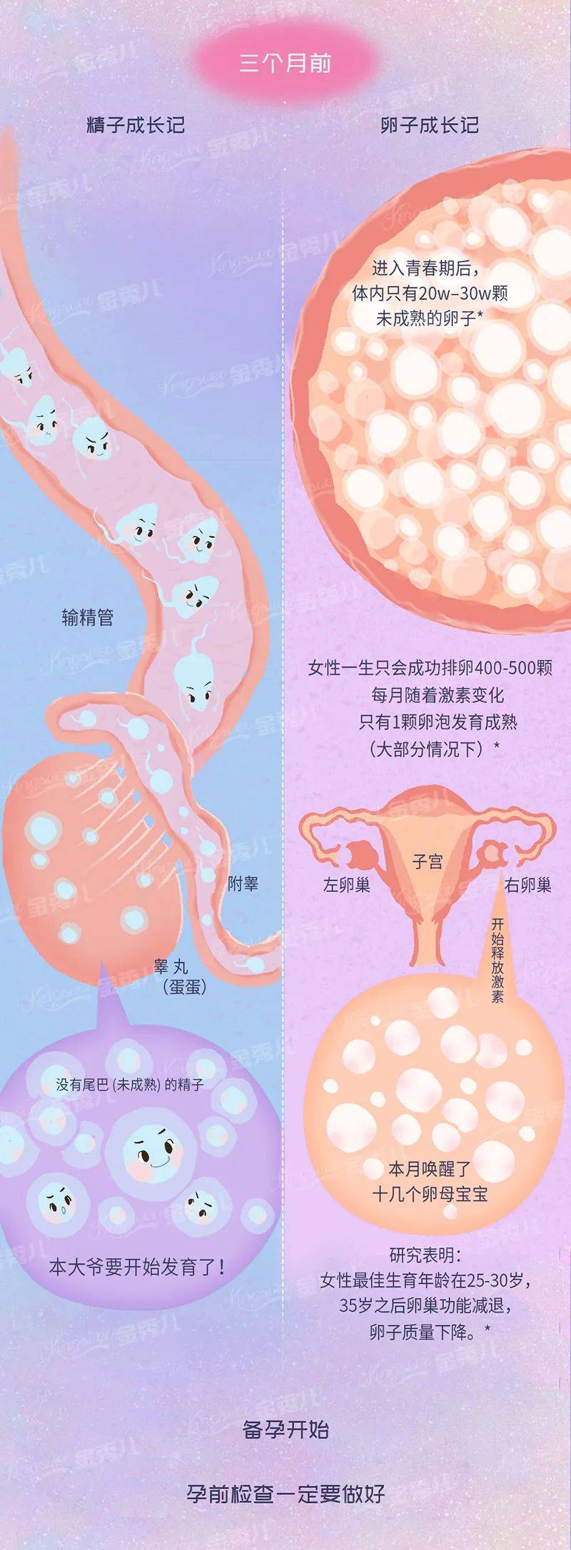 科学|913优生节高效备孕全攻略，这样造人一击即中！（内附备孕秘籍）